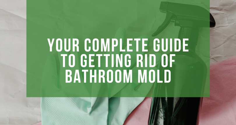 Your Complete Guide to Getting Rid of Bathroom Mold