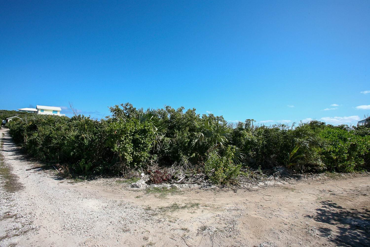 7. Acreage / Land / Lots for Sale at Dolphin Beach Estates, Guana Cay, Abaco Bahamas