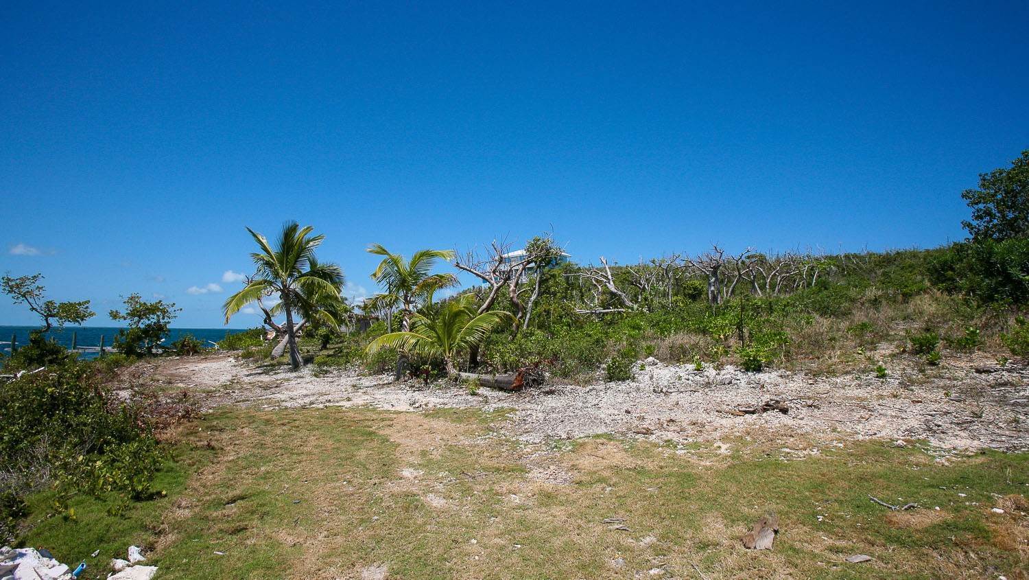 23. Acreage / Land / Lots for Sale at Dolphin Beach Estates Dolphin Beach Estates, Guana Cay, Abaco Bahamas