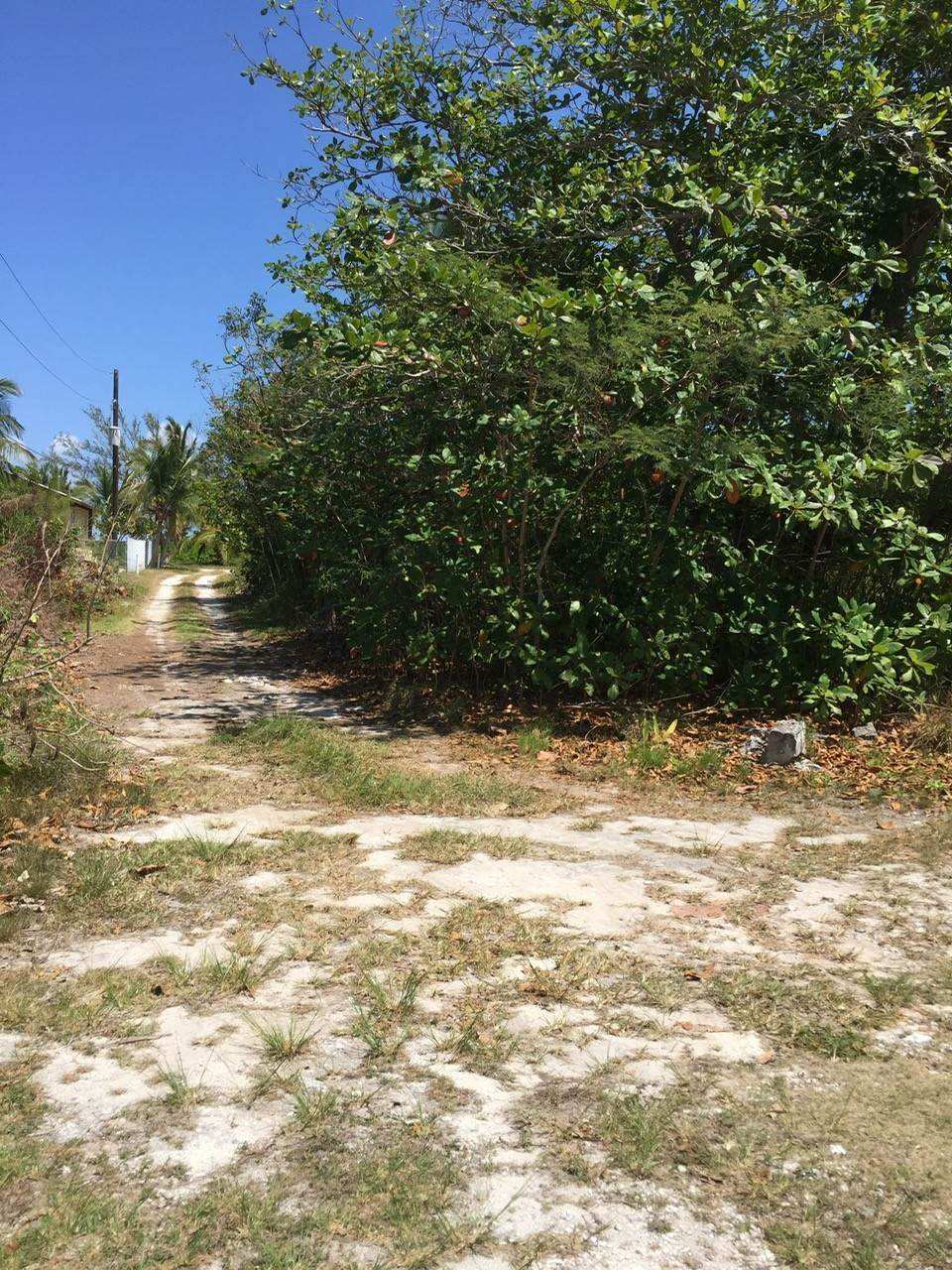 Acreage / Land / Lots for Sale at Congo Town, Andros Bahamas