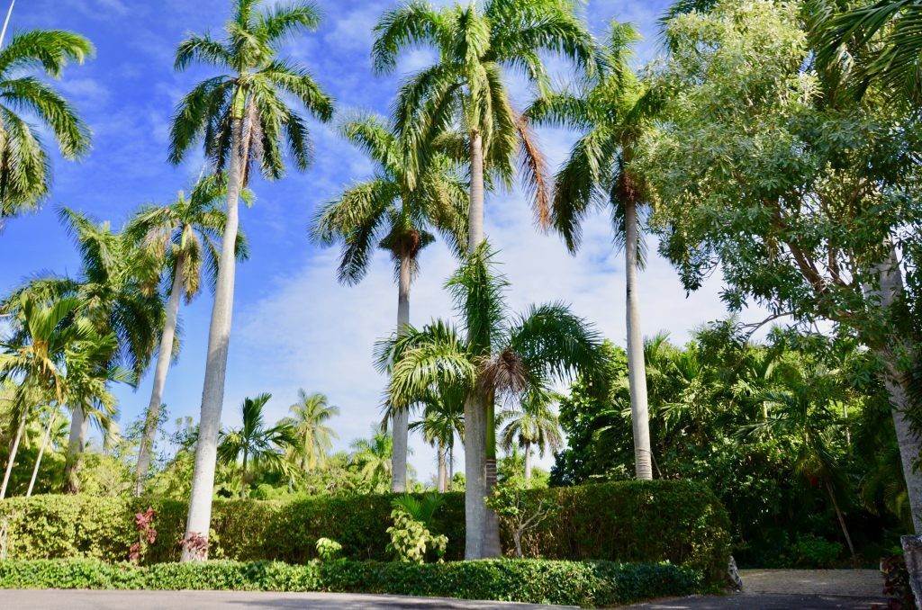 5. Land / Vacant Lot for Sale at Balmoral, Nassau and Paradise Island Bahamas