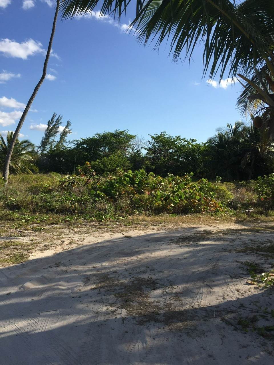 5. Acreage / Land / Lots for Sale at Congo Town, Andros Bahamas