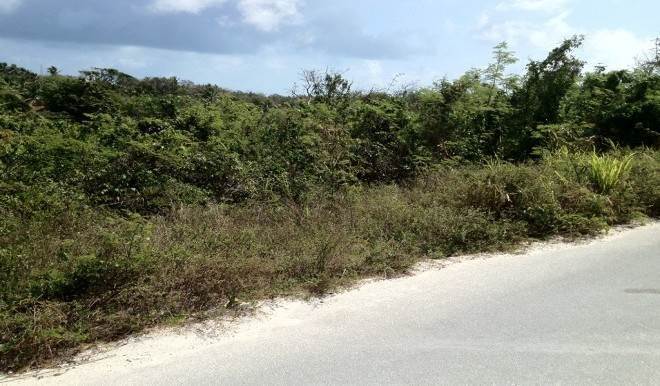 3. Land for Sale at Winton, Nassau And Paradise Island Bahamas