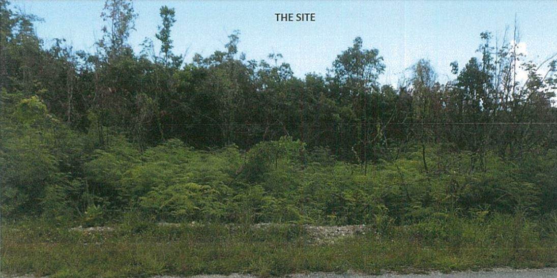 4. Land for Sale at S. C. Bootle Highway Lot-0 Turtle Rocks, Abaco Bahamas