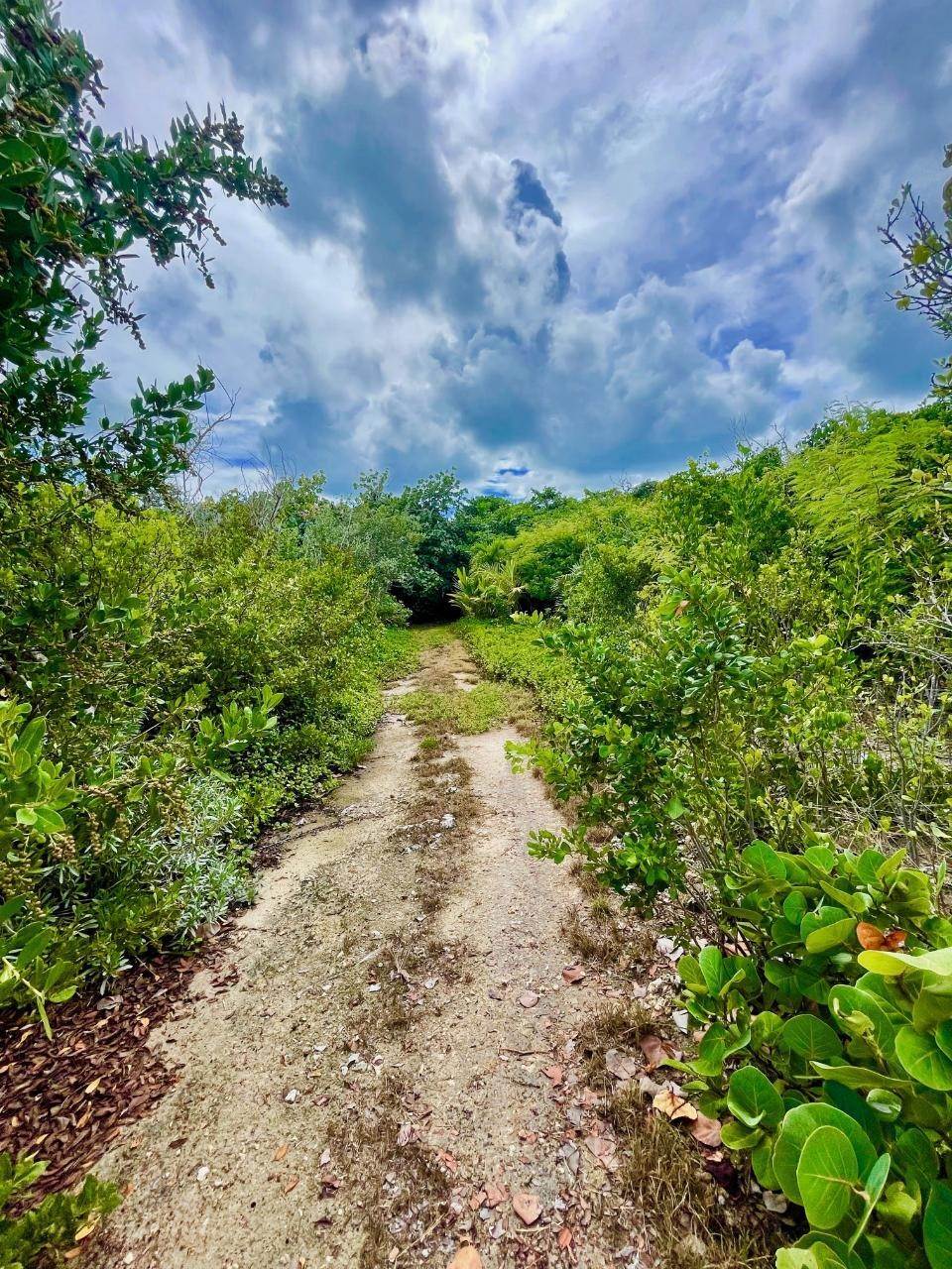34. Single Family Homes for Sale at North End Lot-0 Green Turtle Cay, Abaco Bahamas
