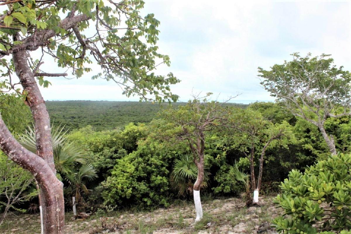 13. Land for Sale at Stella Maris, Long Island Bahamas