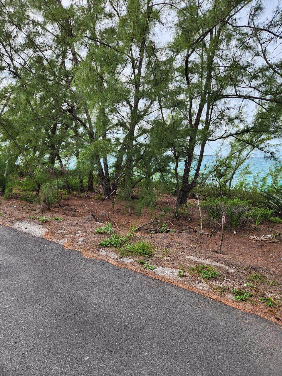 5. Land for Sale at Queens Hwy Eleuthera Lot-Lot 6 ,6a Other Eleuthera, Eleuthera Bahamas