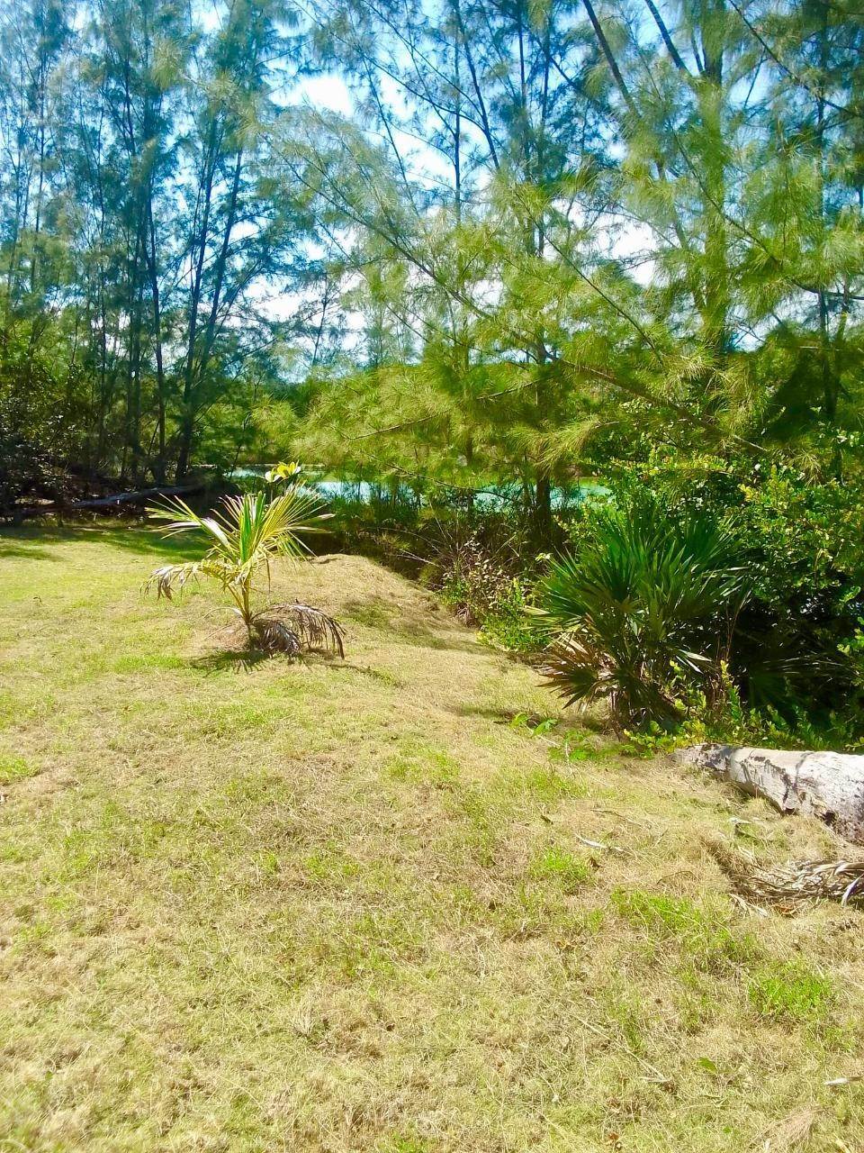 17. Single Family Homes for Sale at Nicholls Town- Andros Lot-253 Nichols Town, Andros Bahamas