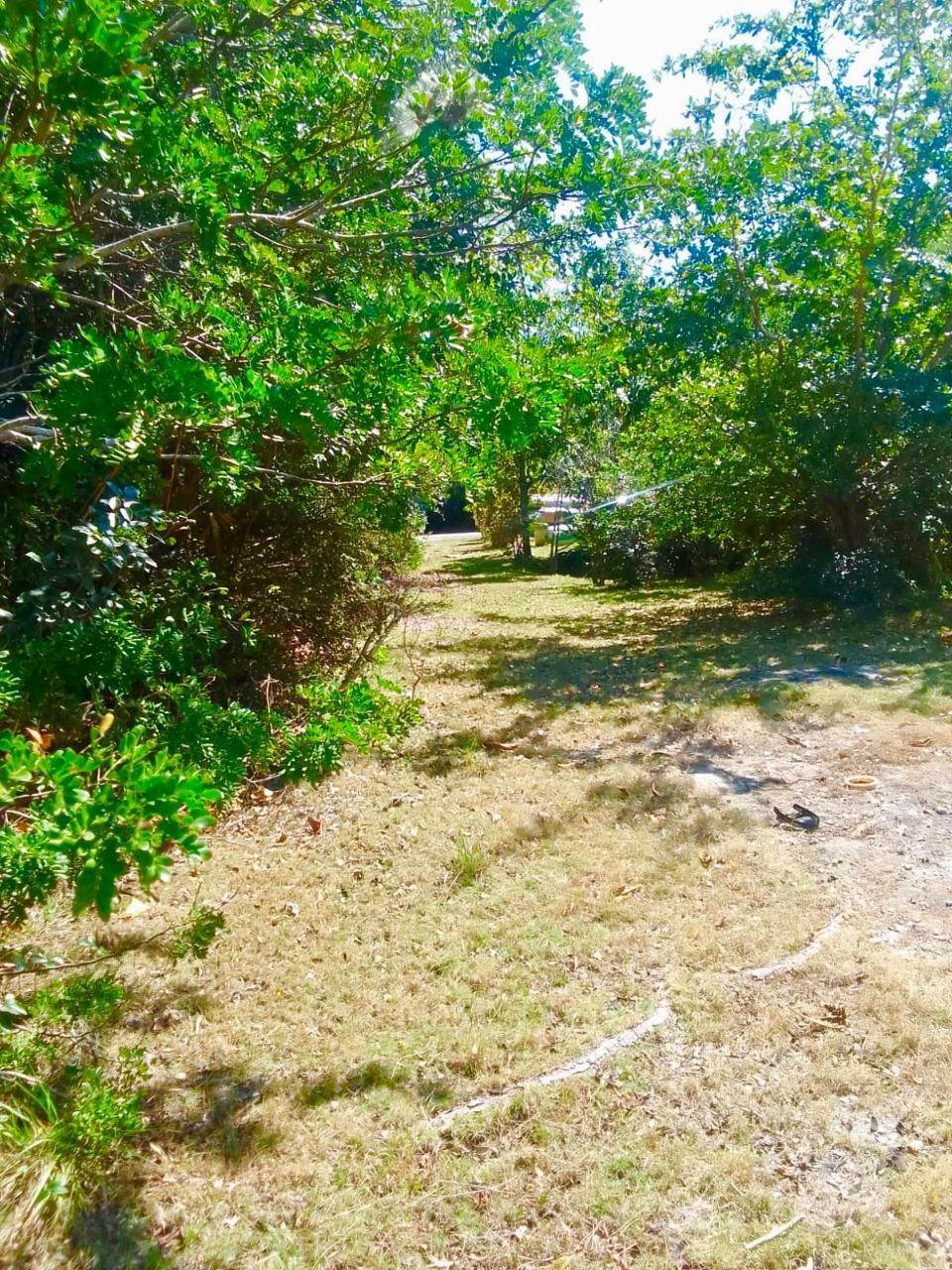 20. Single Family Homes for Sale at Nicholls Town- Andros Lot-253 Nichols Town, Andros Bahamas