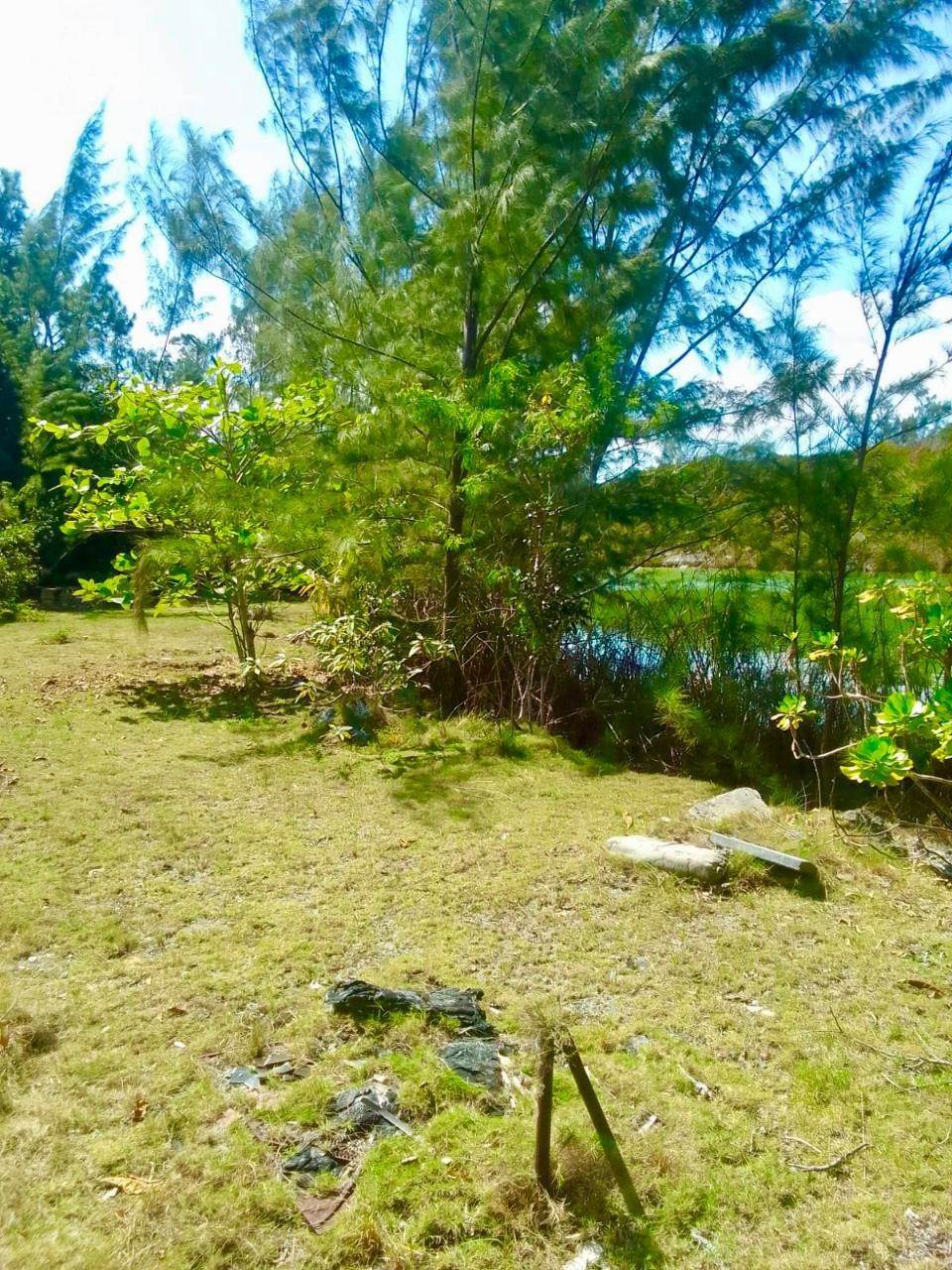 23. Single Family Homes for Sale at Nicholls Town- Andros Lot-253 Nichols Town, Andros Bahamas