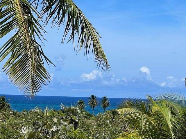 5. Co-op / Condo for Sale at Migrate Beach Chalet Lot-N/A Banks Road, Governors Harbour, Eleuthera Bahamas