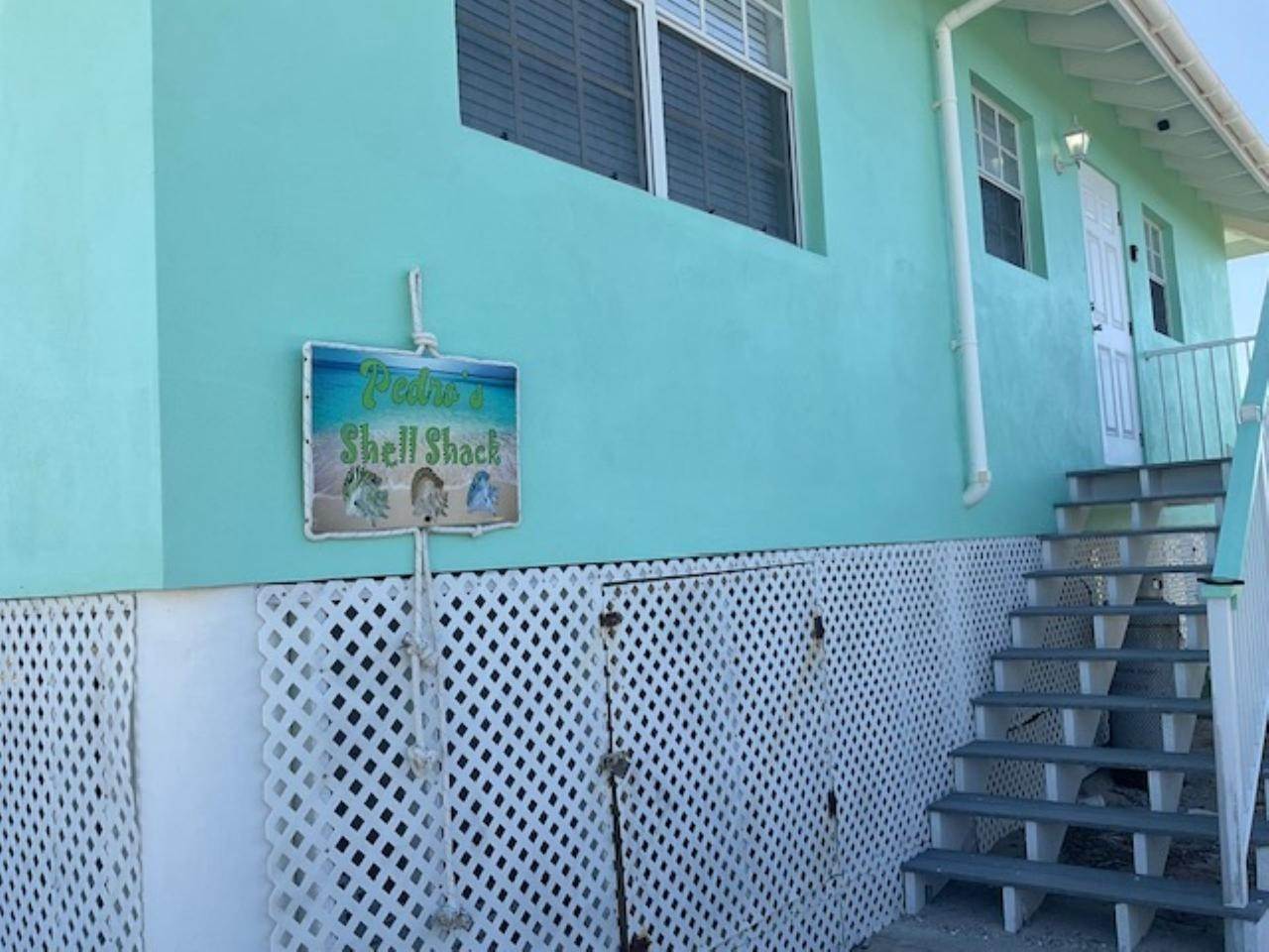 21. Single Family Homes for Sale at Pedro's Shell Shack Lot-0 Morrisville, Long Island Bahamas