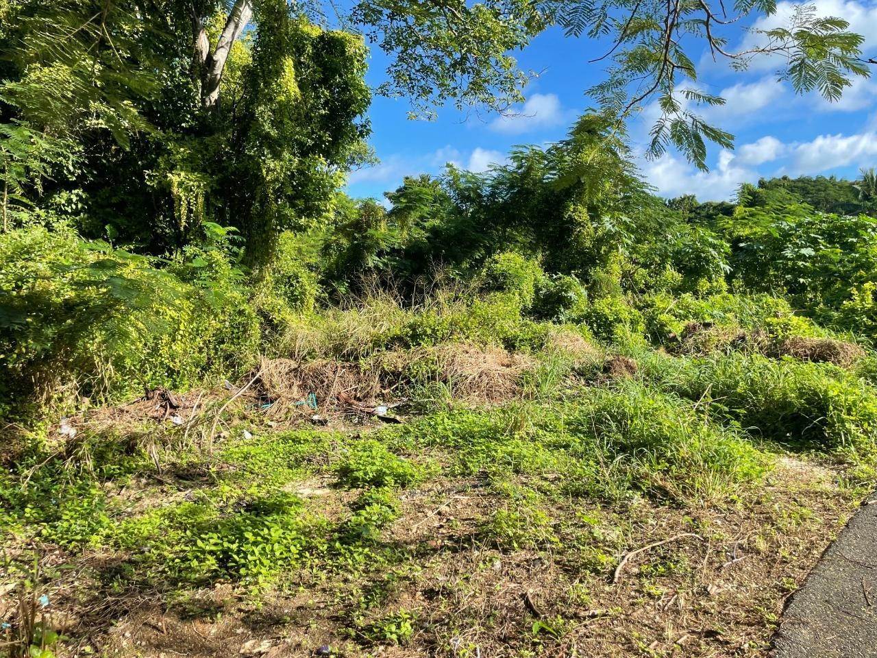 10. Land for Sale at 1 Fox Hill Lot-1 Fox Hill, Nassau and Paradise Island Bahamas