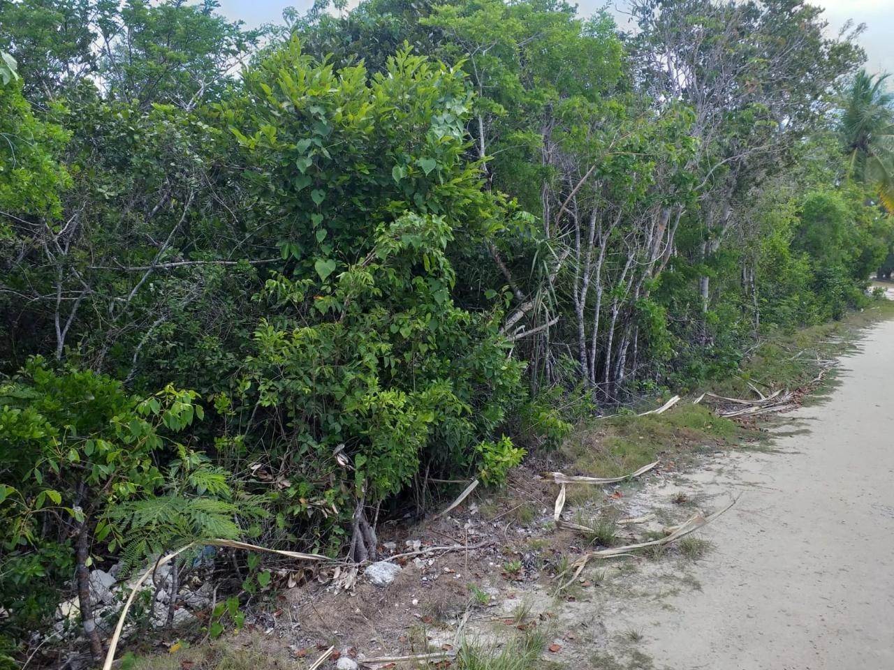 7. Land for Sale at Savannah Sound, Eleuthera Bahamas