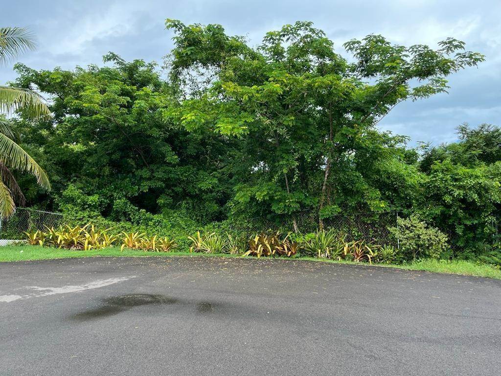 3. Land for Sale at Between Brigadoon And Hig Lot-0 Eastern Road, Nassau and Paradise Island Bahamas