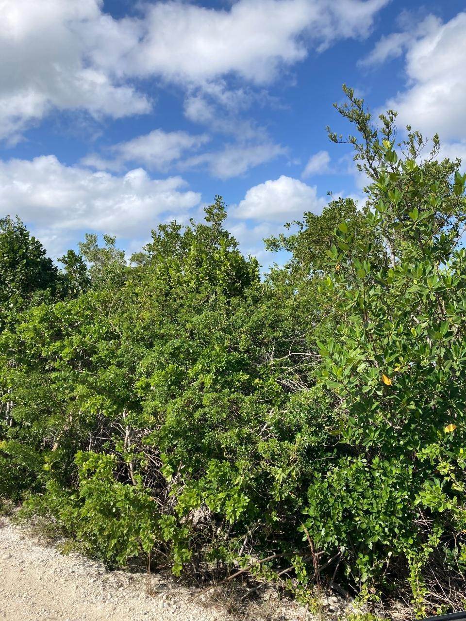 7. Land for Sale at Deep Creek East Lot-10 Congo Town, Andros Bahamas