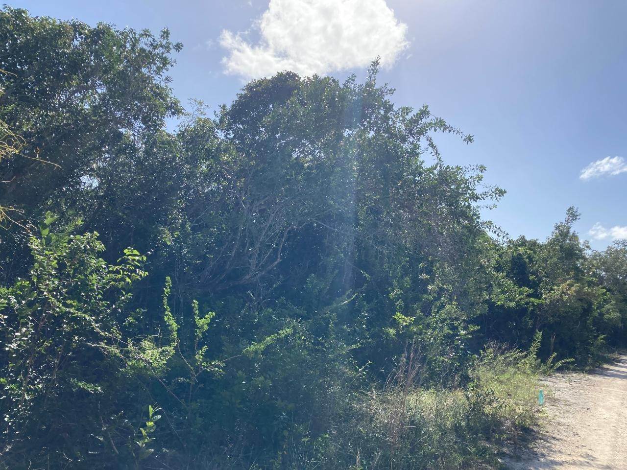 8. Land for Sale at Deep Creek East Lot-10 Congo Town, Andros Bahamas