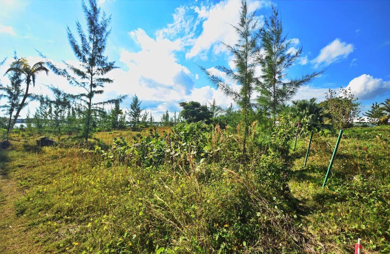 10. Land for Sale at Pelican Shores, Marsh Harbour, Abaco Bahamas