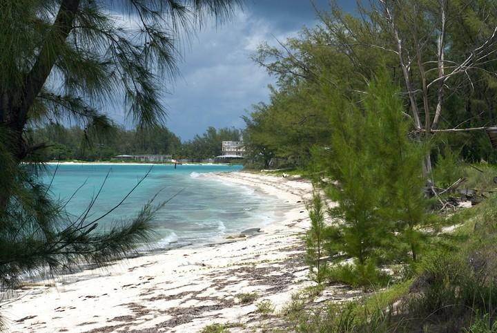 7. Land for Sale at South Bimini, Bimini Bahamas