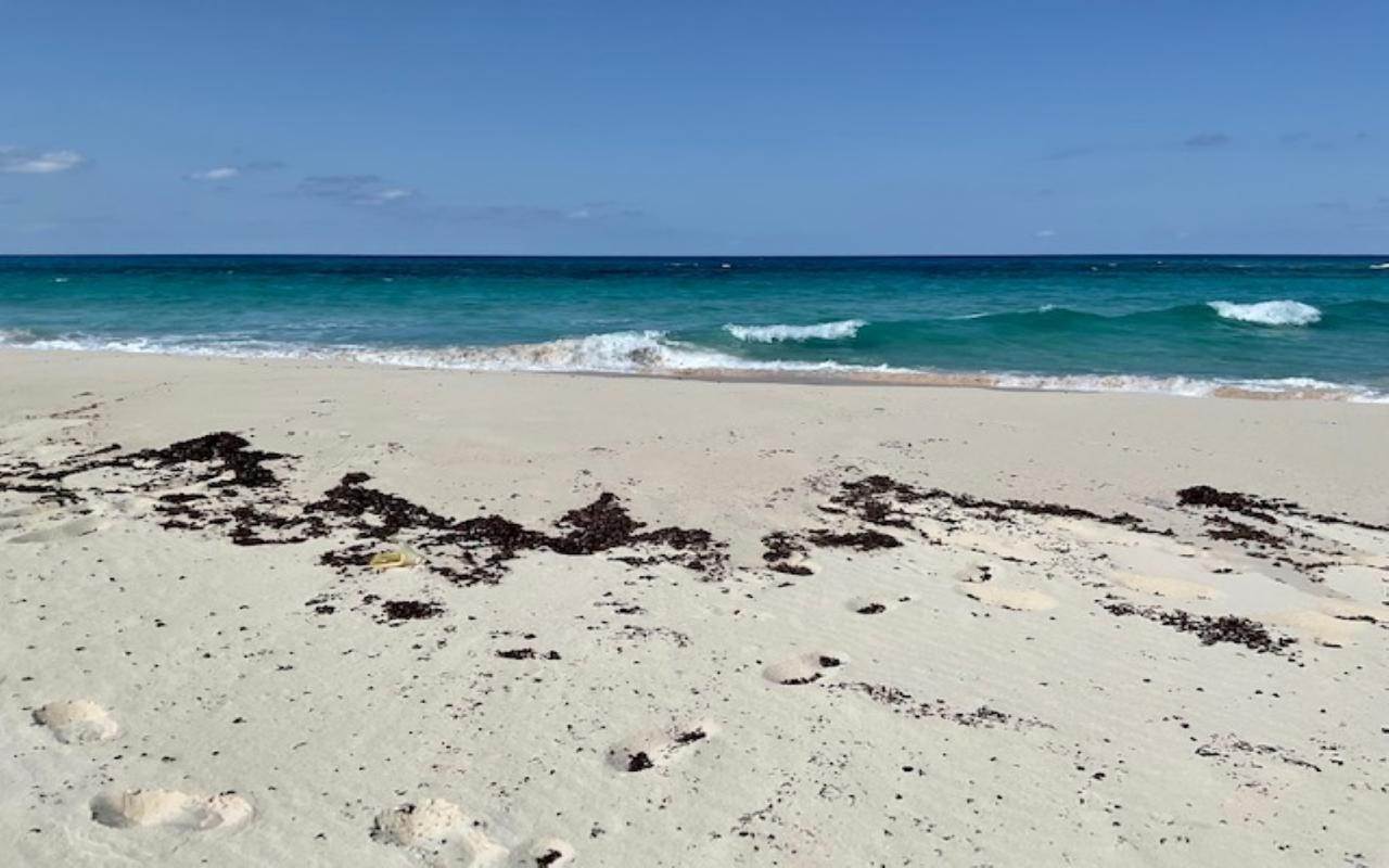 5. Land for Sale at Parcel A, Morrisville Lot-A Morrisville, Long Island Bahamas